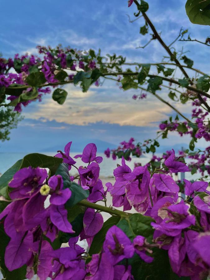 Du Lac Aparments Desenzano del Garda Zewnętrze zdjęcie